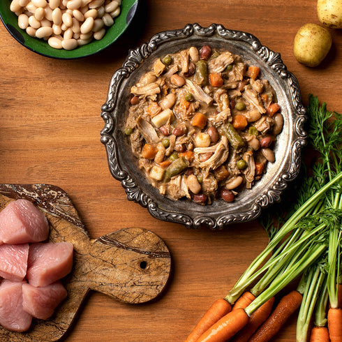 Fromm Four-Star Wet Dog Food - Shredded Turkey in Gravy - 12oz Can