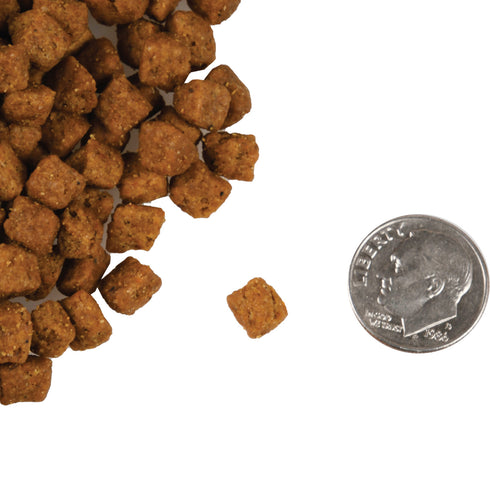 Fromm Four-Star Grain Free Dry Cat Food - Beef Livattini Veg - 10lb Bag