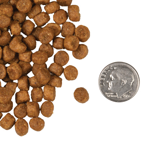 Fromm Four-Star Dry Cat Food - Chicken Á La Veg - 10lb Bag