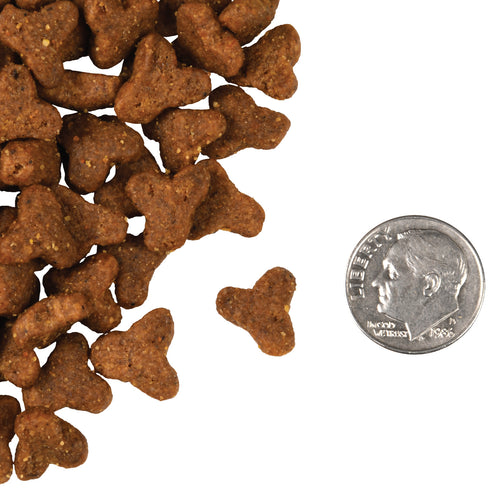 Fromm Four-Star Grain Free Dry Cat Food - Game Bird - 4lb Bag