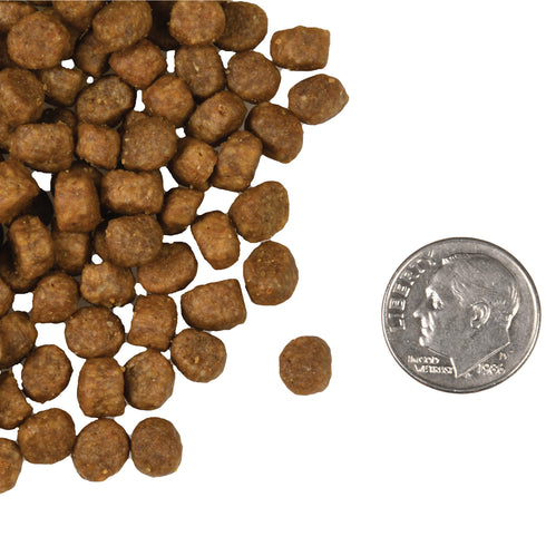 Fromm Four-Star Dry Cat Food - Salmon Á La Veg - 4lb Bag