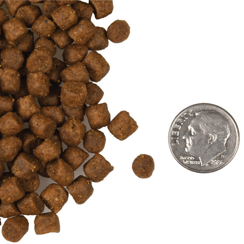 Fromm Four-Star Grain Free Dry Cat Food - Surf & Turf - 10lb Bag