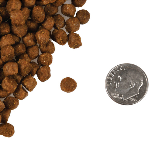 Fromm Four-Star Dry Cat Food - Tout & Whitefish - 4lb Bag