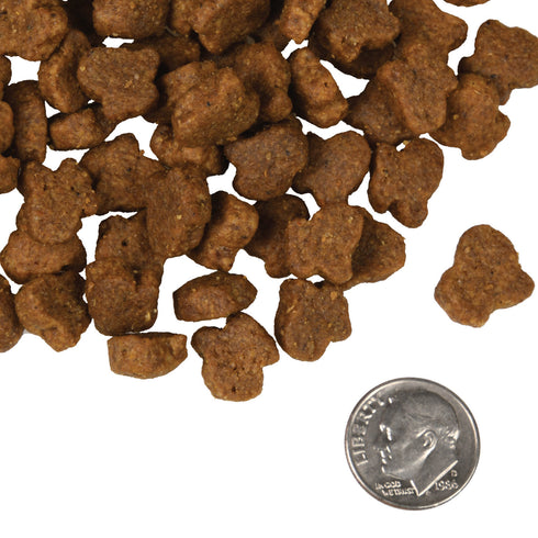 Fromm Four-Star Dry Dog Food - Hasen Duckenpfeffer - 4lb Bag