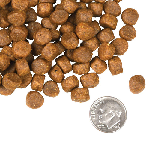 Fromm Four-Star Dry Dog Food - Surf & Turf - 12lb Bag