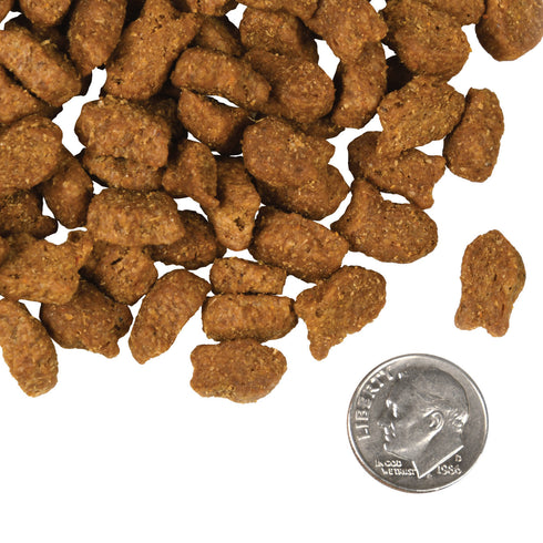Fromm Four-Star Dry Dog Food - Trout & Whitefish - 26lb Bag