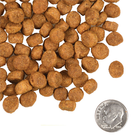 Fromm Heartland Gold Large Breed Puppy Dry Dog Food - Beef & Pork - 26lb Bag