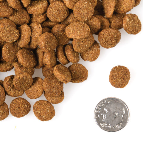 Fromm Gold Large Breed Weight Management Dry Dog Food - Turkey & Chicken - 15lb Bag