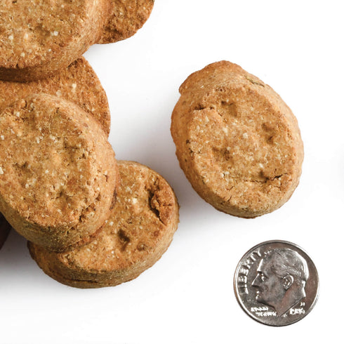 Fromm Four-Star Dog Treats - Salmon with Sweet Potato - 8oz Pouch