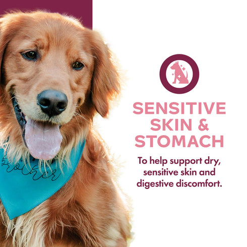 Fromm Nutritionals Sensitive Skin & Stomach Wet Dog Food - Salmon -