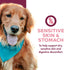 Fromm Nutritionals Sensitive Skin & Stomach Wet Dog Food - Salmon -