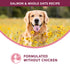 Fromm Nutritionals Sensitive Skin & Stomach Dry Dog Food - Salmon & Oat - 26lb Bag