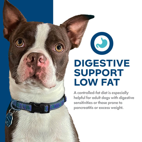 Fromm Nutritionals Digest Support & Low Fat Dry Dog Food - Chicken & Oatmeal - 26lb Bag