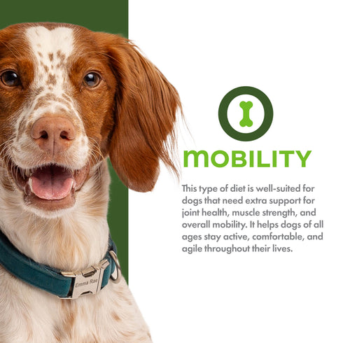 Fromm Nutritionals Mobility Dry Dog Food - Chicken & Oat - 26lb Bag