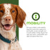 Fromm Nutritionals Mobility Dry Dog Food - Chicken & Oat - 26lb Bag