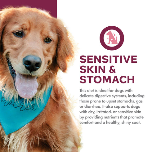 Fromm Nutritionals Sensitive Skin & Stomach Dry Dog Food - Salmon & Oat - 26lb Bag