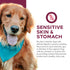 Fromm Nutritionals Sensitive Skin & Stomach Dry Dog Food - Salmon & Oat - 26lb Bag