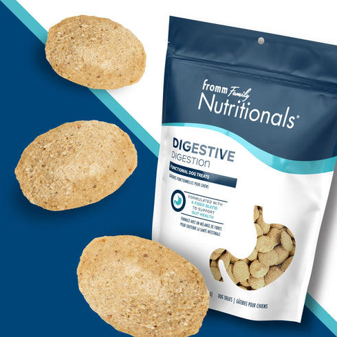 Fromm Nutritionals Digestive Functional Dog Treats - Pumpkin - 6oz Bag