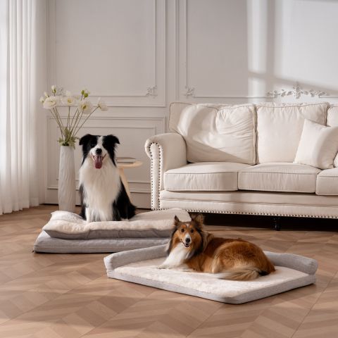 Territory Orthopedic Pillow Top Dog Bed - 42 x 28 - Khaki