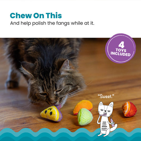 Catstages Fruit Wedges Cat Toys - 4pack