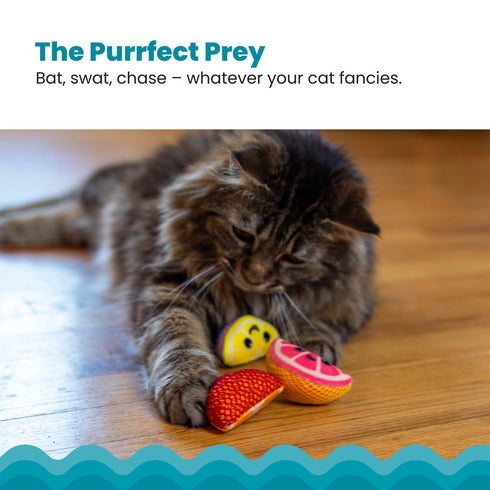 Catstages Fruit Wedges Cat Toys - 4pack