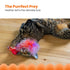 Catstages RAcin' Squirrel Robot Toy