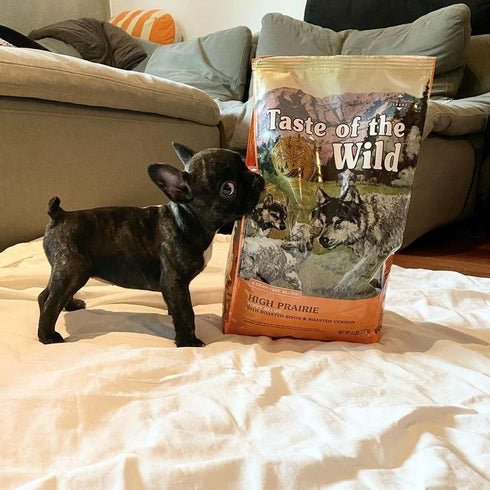 Taste of the Wild High Prairie Puppy Dry Dog Food - Roasted Bison & Venison - 14lb Bag