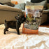 Taste of the Wild High Prairie Puppy Dry Dog Food - Roasted Bison & Venison - 14lb Bag
