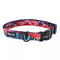 Coastal Sublime Adjustable Dog Collar - Small 3/4" x 8-12" - Purple Mountain