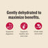 The Honest Kitchen Wholemade With rain Dehydrated Dog Food - Beef & Oat - 2lb Box