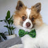 Huxley & Kent Bow Tie Large Weed Tie