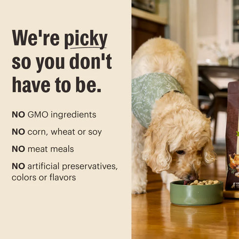 The Honest Kitchen Protein Plus+ Grain Free Dog Food Topper - Beef & Superfoods - 12oz Pouch