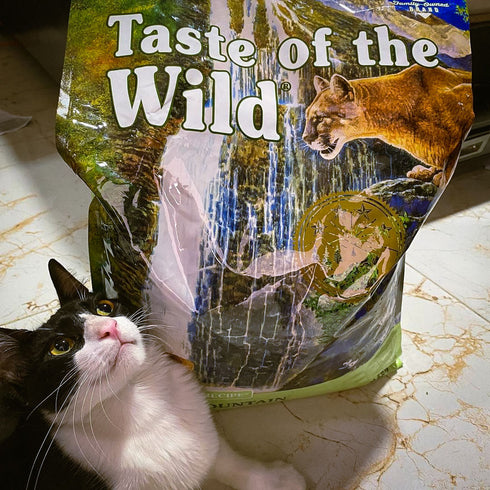 Taste of the Wild Rocky Mountain Dry Cat Food - Roasted Venison - 14lb Bag
