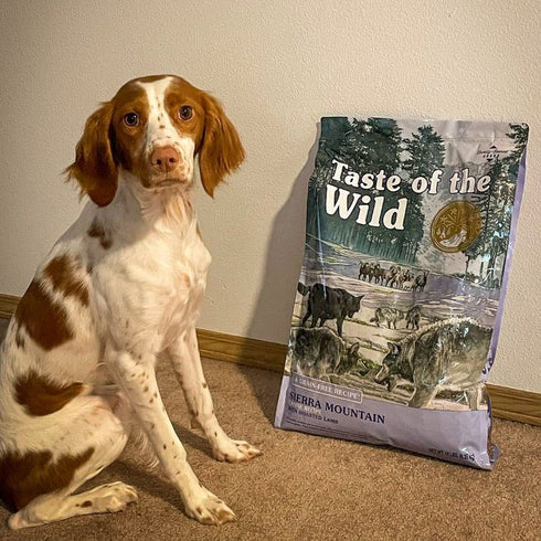 Taste of the Wild Sierra Mountain Dry Dog Food - Roasted Lamb - 28lb Bag