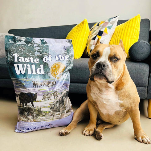 Taste of the Wild Sierra Mountain Dry Dog Food - Roasted Lamb - 28lb Bag