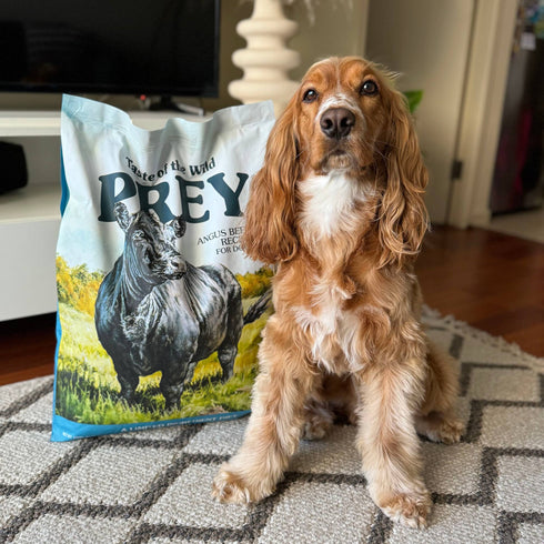 Taste of the Wild Prey Limited Ingredient Dry Dog Food - Angus Beef - 25lb Bag