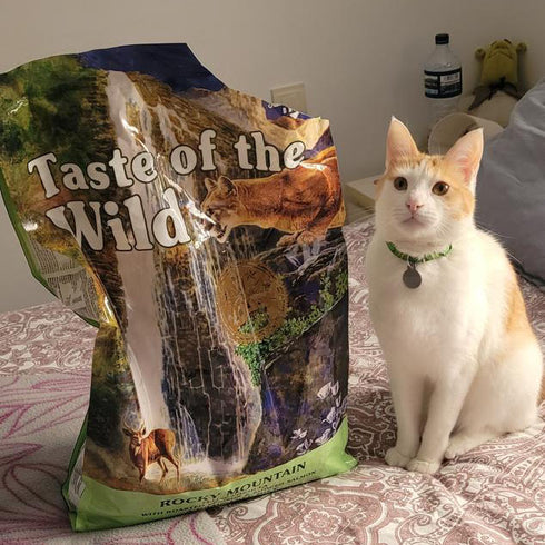 Taste of the Wild Rocky Mountain Dry Cat Food - Roasted Venison - 14lb Bag