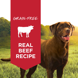 Instinct Original Wet Dog Food - Real Beef - 13.2oz Can