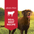 Instinct Original Wet Dog Food - Real Beef - 13.2oz Can