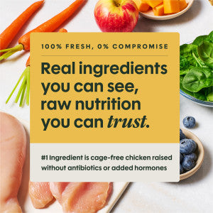 Instinct FreshRaw Meals Frozen Dog Food - Chicken - 16oz Package