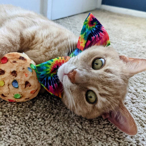 Huxley & Kent Bow Tie Woodstock Large Poudre Pet & Feed Supply 2