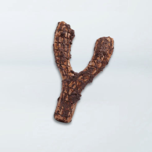 Woof HonestChew Dog Chew Toy - Meaty YGnawt - Medium