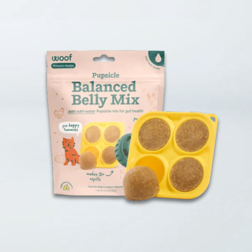 Woof Pupsicle Refill Mix Balanced Belly Dog Treat - Pumpkin - 5.5oz Pouch