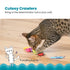 Catstages Cute As A Buy Cat Toys - 6 Pack