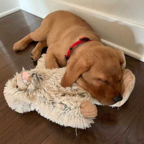 Tall Tails Plush Yeti Dog Toy with Squeaker - 14"