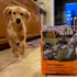 Taste of the Wild High Prairie Puppy Dry Dog Food - Roasted Bison & Venison - 14lb Bag