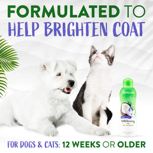 TropiClean Awapuhi & Coconut Whitening Shampoo for Pets - 1 Gallon