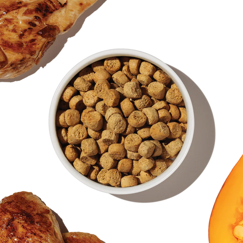 The Honest Kitchen Grain Free Protein Plus Dry Dog Food - Chicken - 4lb Bag