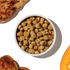 The Honest Kitchen Grain Free Protein Plus Dry Dog Food - Chicken - 4lb Bag