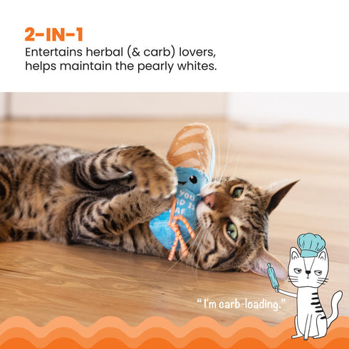 Catstages Loaf Kicker Catnip Toy and Dental Toy for Cats